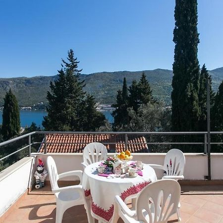 Apartments Tramonto Zaton  Room photo